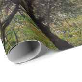 Olijfbomen in het Apulië-landschap in de herfst. Cadeaupapier (Rol Hoek)