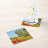 Olijfbomen in het onderzetter van papavervelden (Insitu)