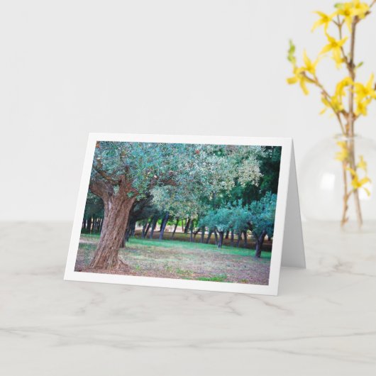 Olijfbomen in het park kaart (Gele Bloem)