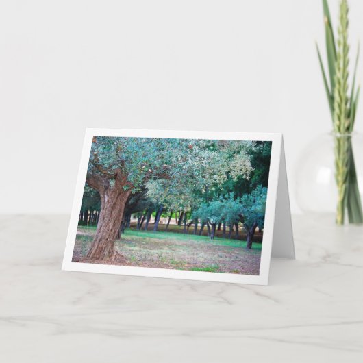 Olijfbomen in het park kaart (Voorkant)