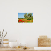 Olijfbomen in het poster van papavervelden (Keuken)