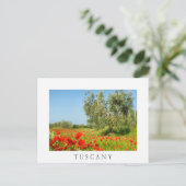 Olijfbomen in papaver, briefkaart van Toscane (Staand voorkant)