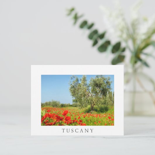 Olijfbomen in papaver, briefkaart van Toscane (Staand voorkant)