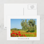 Olijfbomen in papaver, briefkaart van Toscane (Voorkant / Achterkant)