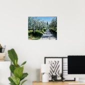 OLIJFBOMEN IN RIMAGGIO Toscaans landschap Poster (Thuiskantoor)