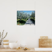 OLIJFBOMEN IN RIMAGGIO Toscaans landschap Poster (Keuken)