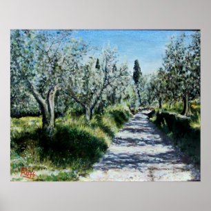 OLIJFBOMEN IN RIMAGGIO Toscaans landschap Poster