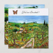 OLIJFBOMEN IN TUSCANJE,geel groen wit Kaart (Voorkant / Achterkant)