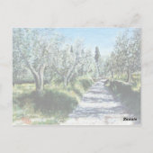 OLIJFBOMEN IN TUSCANY BRIEFKAART (Achterkant)