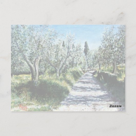 OLIJFBOMEN IN TUSCANY BRIEFKAART (Achterkant)