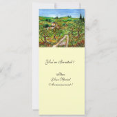 OLIJFBOMEN IN TUSCANY, groen wit Kaart (Achterkant)