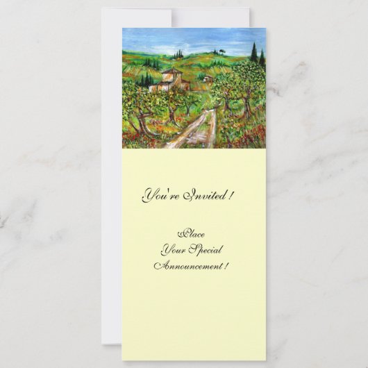 OLIJFBOMEN IN TUSCANY, groen wit Kaart (Achterkant)