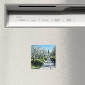 OLIJFBOMEN IN TUSCANY LANDSCAPE MAGNEET (Insitu (Vaatwasser))