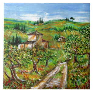 OLIJFBOMEN IN TUSCANY LANDSCAPE TEGELTJE