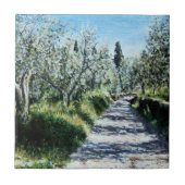 OLIJFBOMEN IN TUSCANY TEGELTJE (Voorkant)
