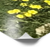 Olijfbomen in Yoga-positie Foto Afdruk (Hoek)