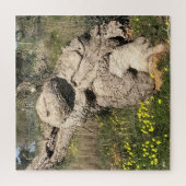 Olijfbomen in Yoga-positie Legpuzzel (Verticaal)