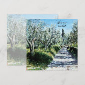 OLIJFBOMEN KAART (Voorkant / Achterkant)