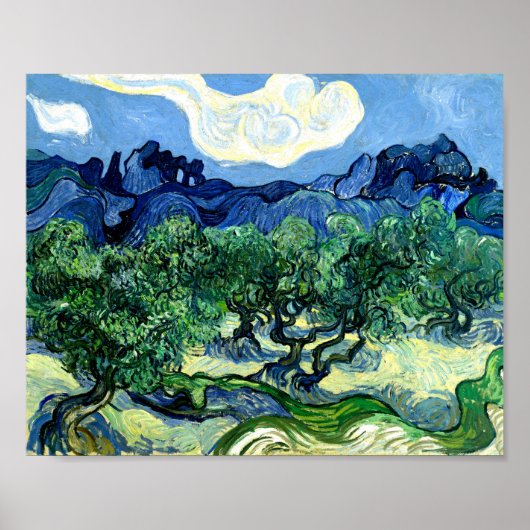 Olijfbomen met Alpilles (1889) Van Gogh fijne kuns Poster (Voorkant)