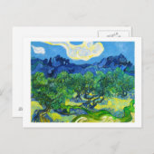 Olijfbomen met de Alpilles op de achtergrond Briefkaart (Voorkant / Achterkant)