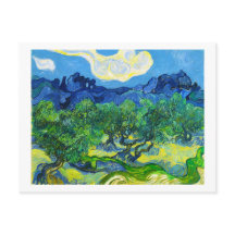 Olijfbomen met de Alpilles op de achtergrond