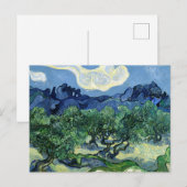Olijfbomen met de Alpilles op de achtergrond Briefkaart (Voorkant / Achterkant)