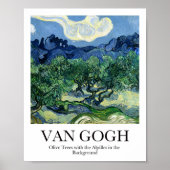 Olijfbomen met de Alpilles op de achtergrond Poster (Voorkant)