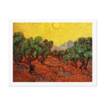 Olijfbomen met gele hemel en zon