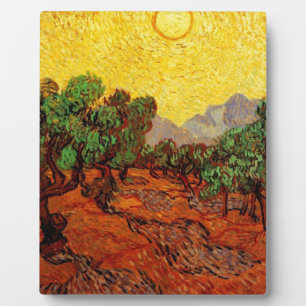 Olijfbomen met gele hemel en zon fotoplaat