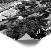 Olijfbomen Poster (Hoek)