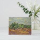 Olijfbomen, Van Gogh Briefkaart (Staand voorkant)