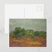 Olijfbomen, Van Gogh Briefkaart (Voorkant / Achterkant)