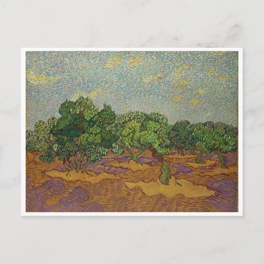 Olijfbomen, Van Gogh Briefkaart (Voorkant)