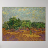 Olijfbomen, Van Gogh Poster (Voorkant)