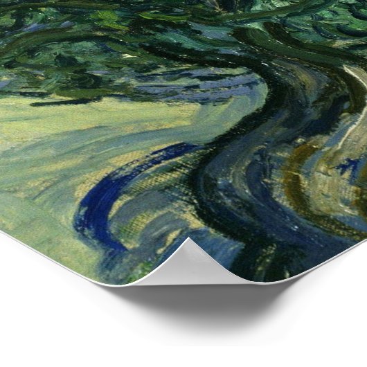Olijfbomen van het Poster Van Gogh (Hoek)