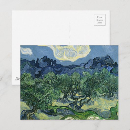 Olijfbomen van Van Gogh Briefkaart (Voorkant / Achterkant)
