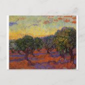 Olijfbomen - Vincent Van Gogh Briefkaart (Voorkant)
