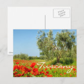 Olijfboom in briefkaart voor papaverveldtekst (Voorkant / Achterkant)