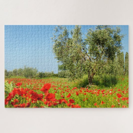 Olijfboom in het papaverveld in de zomer legpuzzel (Horizontaal)