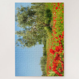 Olijfboom in het papaverveld in de zomer legpuzzel