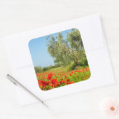 Olijfboom in papaver veld sticker (Envelop)