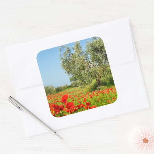 Olijfboom in papaver veld sticker (Envelop)