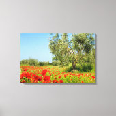 Olijfboom in papaver velddoek canvas afdruk (Voorkant)
