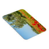 Olijfboom in papaverveld rechthoekige magneet (Rechterzijde)