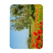 Olijfboom in papaverveld rechthoekige magneet (Verticaal)