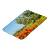 Olijfboom in papaverveld rechthoekige magneet (Linkerzijde)