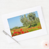 Olijfboom in papaverveld rechthoekige sticker (Envelop)