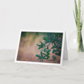 Olijfboom met onscherpe achtergrond kaart (Voorkant)