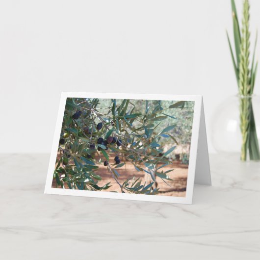 Olijfboom Portret Kaart (Voorkant)