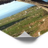 olijfboom poster (Hoek)